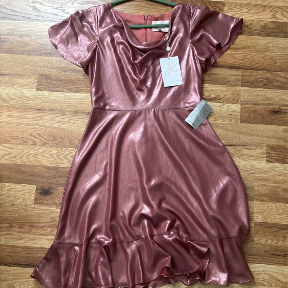 Gal Meets Glam Shimmering Rose Dress